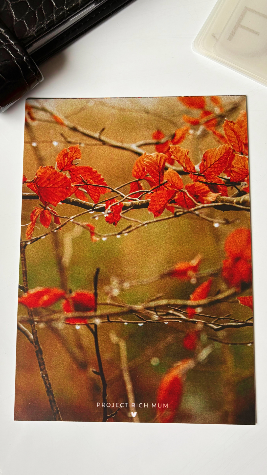 Autumn Dew Premium Card Dashboard | Personal Size Budget Binder/A6