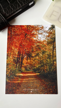 Enchanted Premium Card Dashboard | Personal Size/A6